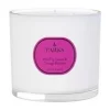 Parks London Dreidocht-Duftkerze Vintage Aromatherapy (Wilde Feige, Schwarze Johannisbeere & Orangenblüte) 19